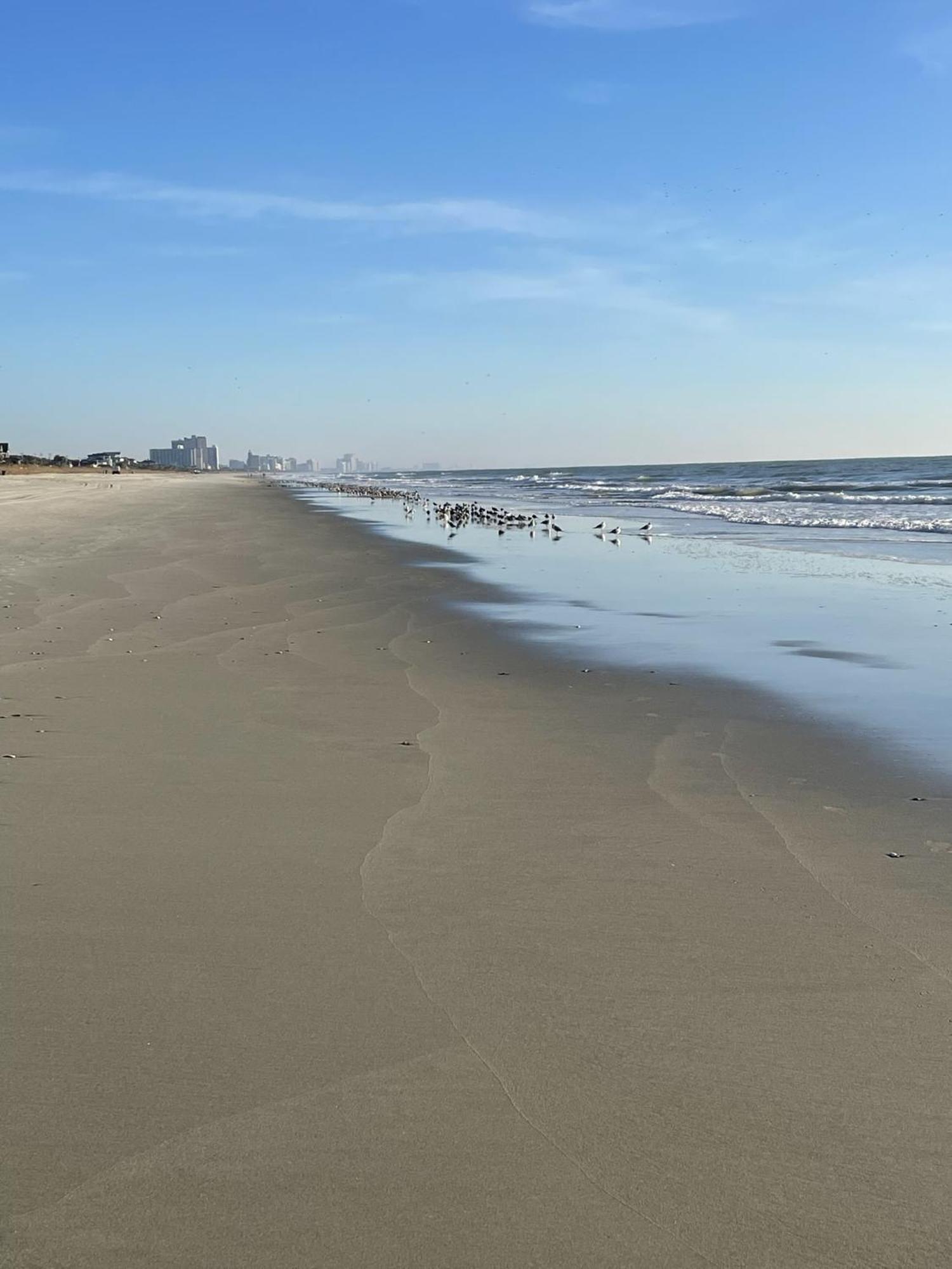 Blue Palmetto Vacation Rentals Myrtle Beach Exterior foto